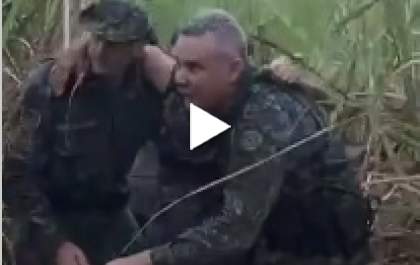 Idosa é resgatada em canavial no terceiro dia após desaparecer