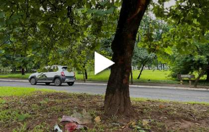 Menina de 16 anos morre em colisão de Biz com árvore em Araçatuba