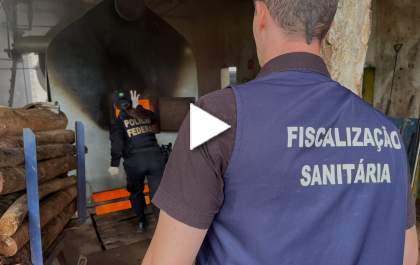 Polícia Federal de Araçatuba incinera cocaína apreendida com avião em Penápolis