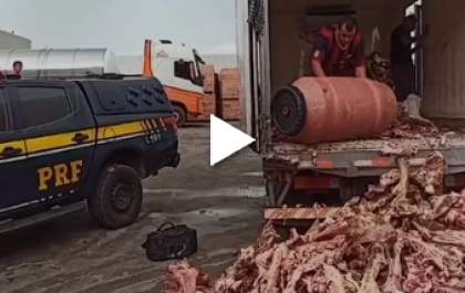 Vídeo mostra momento da apreensão de 125 kg de cocaína escondidos em carne na BR-262