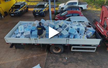 PRF apreende quase 5 toneladas de maconha escondidas em carga de girassol em Três Lagoas