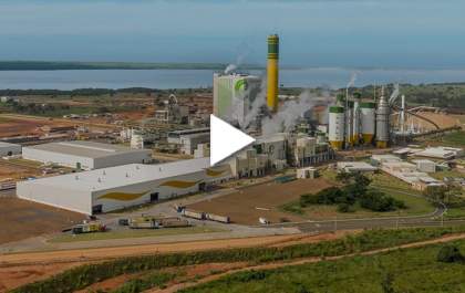 Arauco estaria fora da briga pela compra da Eldorado, segundo colunista do Estadão