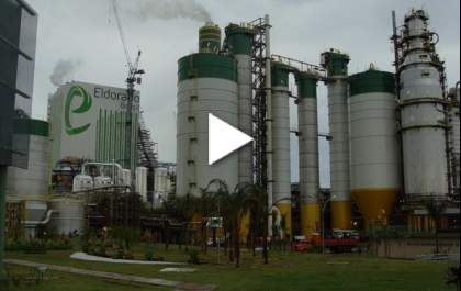 Jornalista da Veja diz que empresa da Indonésia oferece R$ 16 bilhões pela Eldorado