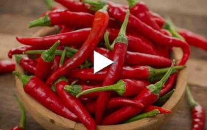 Pimenta