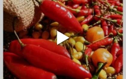 Pimenta - Coluna mais temperada do Bolsão