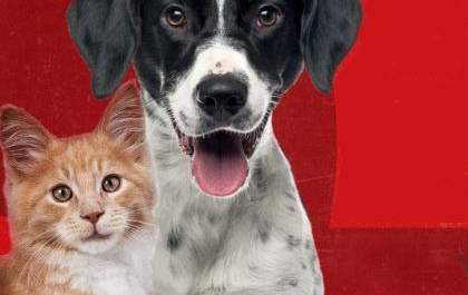 Tem mais vacinação de cães e gatos neste sábado (24)