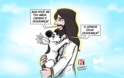 Agora o cãozinho está em segurança