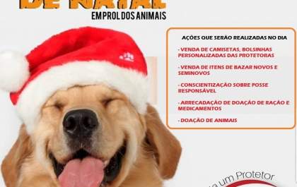 Para arrecadar fundos Protetoras realizam ‘Bazar de Natal’