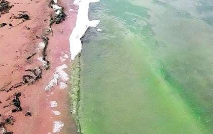 Prefeitura de Pereira Barreto vai fazer nova análise em água de prainha