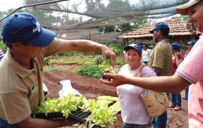 Eldorado e Sebrae realizam Dia de Campo no Pontal do Faia