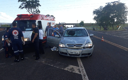 Ciclista morre após ser atingido por veículo em rodovia