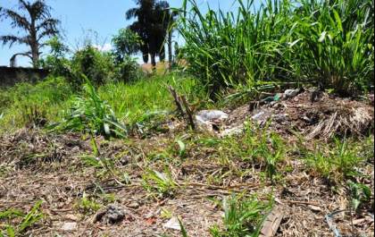 Terrenos baldios de Três Lagoas serão notificados a partir de hoje