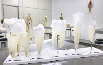 AEMS terá curso de Odontologia em 2019