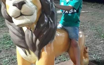 Órgãos de menino morto pela própria mãe são doados
