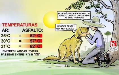 Calor do cão