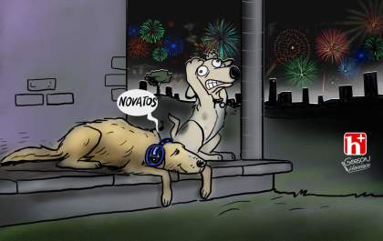 Cães e fogos não combinam
