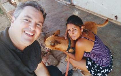 Mulher encontra cão atropelado, cuida e devolve para o dono