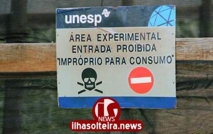 Unesp lamenta furto de peixes de pesquisa: “perda muito grande”