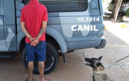 Cão farejador é destaque nas abordagens em Três Lagoas