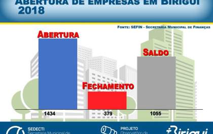 Mais de 1,4 mil empresas foram abertas em Birigui no ano passado