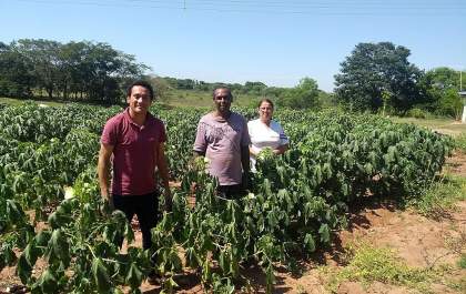 Desenvolvimento Agrário discute projeto voltado a comerciantes e produtores
