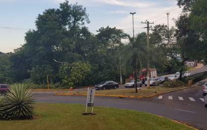 Chuva provoca queda de árvores em Araçatuba