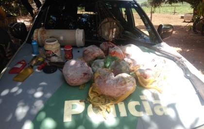 Ambiental prende homem com espingarda e carne de tatu