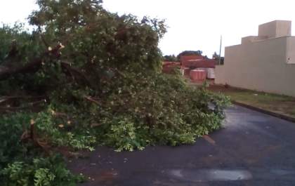 Ventos atingem os 83 km/h durante chuva em Três Lagoas