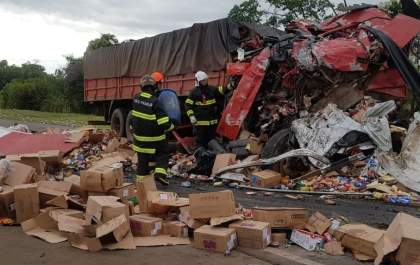 Motorista que causou acidente não tinha habilitação para dirigir caminhão