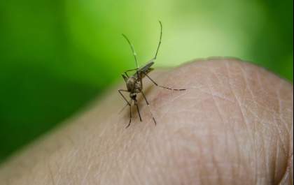 Homem de 61 anos morre com suspeita de dengue