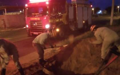 Bombeiros de Três Lagoas resgatam cavalo preso em buraco