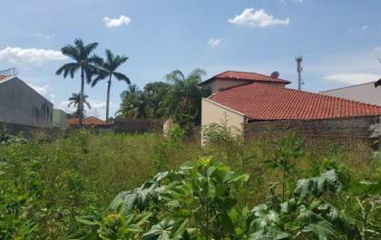 Prefeitura realiza limpeza e aplica multa para donos de 340 terrenos