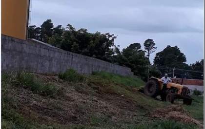 Menina é picada por escorpião em creche