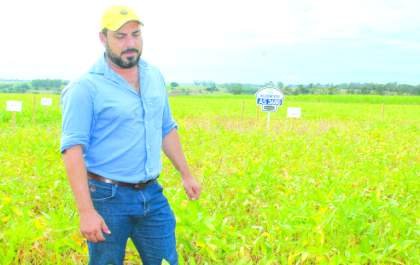 Produtores de soja da região já perderam mais de R$ 80 milhões