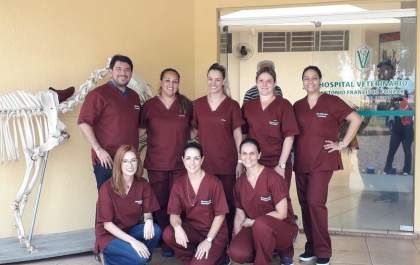Hospital Veterinário da FEA amplia horário de atendimento