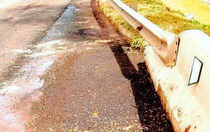 Superintendente da Via Rondon descarta risco no viaduto