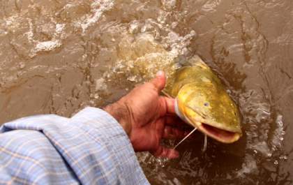 Mato Grosso do Sul tem novas regras para a pesca; entenda o que muda