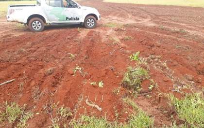 Polícia Ambiental constata corte de 57 árvores em Tupi Paulista e multa empresa em R$ 17,1 mil