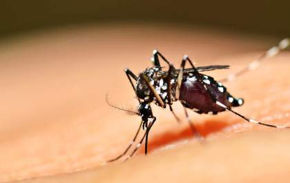 Homem de 40 anos morre com suspeita de dengue em Araçatuba