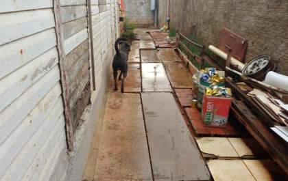 Polícia Civil resgata mulher de cárcere privado que era tratada pior que o cachorro