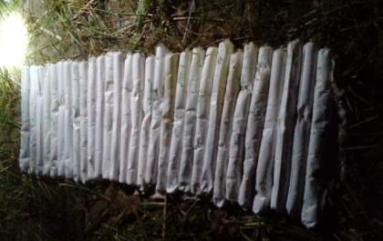 GATE recolhe 29 bananas de dinamite encontradas em lago de Birigui
