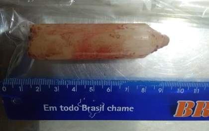 Cachorra é violentada e tem vela introduzida no órgão genital