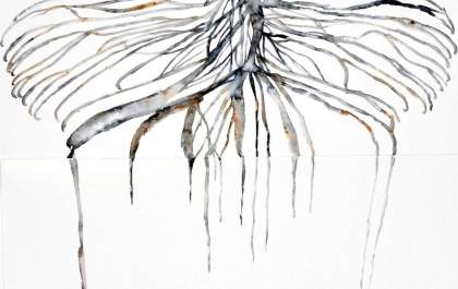 Artista abre temporada de exposições em Ribeirão Preto