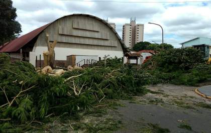 Prefeitura de Araçatuba corta árvores para concluir reforma do Matarazzo&nbsp;