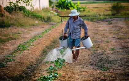 Trabalhador rural que pedir aposentadoria terá autodeclaração validada pelo INSS