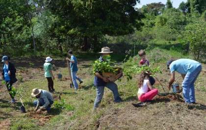 Birigui participa do Plantio Global neste domingo