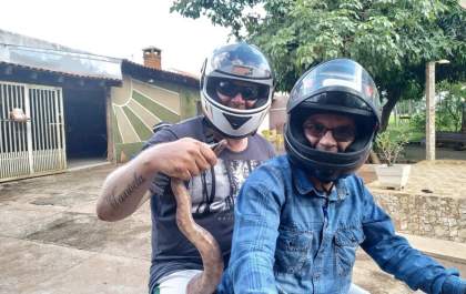 Jiboia 'passeia' de moto após ser capturada em estrada
