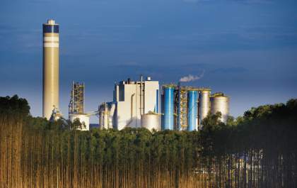 Suzano alcança R$ 1,8 bilhão em geração de caixa no 1º trimestre