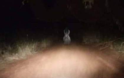 <p>Postagem no Facebook mostra suposto fantasma na estrada da Lagoinha</p>