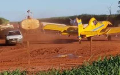 Os aviões agrícolas estão de volta&nbsp;